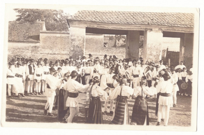 4477 - ETHNIC, HORA dance, Romania - old postcard, real PHOTO - unused
