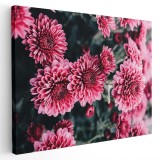 Tablou flori crizanteme roz Tablou canvas pe panza CU RAMA 70x100 cm