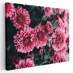 Tablou flori crizanteme roz Tablou canvas pe panza CU RAMA 80x120 cm