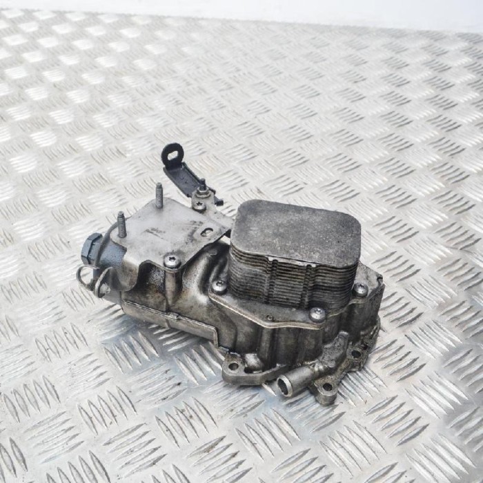 Carcasa filtru de ulei CITRO&Euml;N C3 Picasso 2010 OEM: 9687847480 1834760