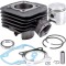 Set Motor scuter SACHS Splinter 80 80cc 2T - Racire Aer