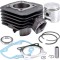 Set Motor scuter PEUGEOT Squab 80 80cc 2T - Racire Aer