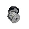 Intinzator Curea Transmisie INA 534016410