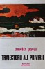 Traiectorii ale privirii - 1990 - Amelia Pavel (XD123), Meridiane