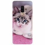 Husa silicon pentru Samsung S9 Plus, Siamese Kitty
