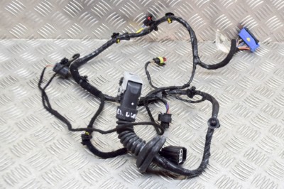 Cablaj ușă dreapta față MASERATI QUATTROPORTE VI 2014 OEM: 6700075090,06700075090 13695175 foto