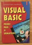 Visual Basic. Primii pasi ... si urmatorii de Luminita Finaru, Ioan Brava