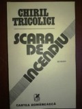 Scara de incendiu- Chiril Tricolici