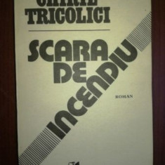 Scara de incendiu- Chiril Tricolici