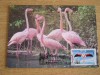 C12 - maxima Romania - tematica pasari 11 - prima zi a emisiunii sau expozitii, Romania de la 1950, Fauna