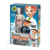 Corpul uman - 12 experimente NEW, Buki France