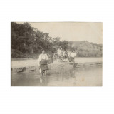 Duc&acirc;nd boii dincolo la r&acirc;u, fotografie realizată de Alexandru Bellu