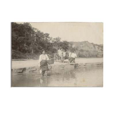 Duc&amp;acirc;nd boii dincolo la r&amp;acirc;u, fotografie realizată de Alexandru Bellu foto