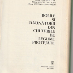 CRISTINA RAICU - BOLILE SI DAUNATORII DIN CULTURILE DE LEGUME PROTEJATE