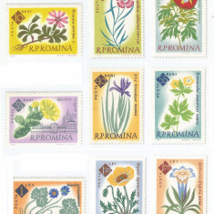 Romania, LP 524/1961, Centenarul Gradinii Botanice din Bucuresti (dantelat), MNH