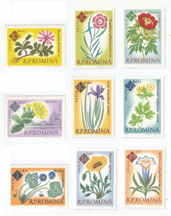 Romania, LP 524/1961, Centenarul Gradinii Botanice din Bucuresti (dantelat), MNH