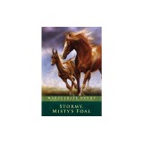 Stormy, Misty's Foal