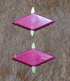 Insigne romburi pionieresti