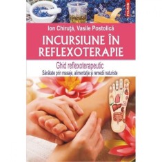Incursiune in reflexoterapie, Ion Chiruta , Vasile Postolica