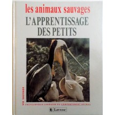 LES ANIMAUX SAUVAGES, L`APPRENTISSAGE DES PETITS de LAURE FLAVIGNY, CATHERINE NICOLLE, 1993