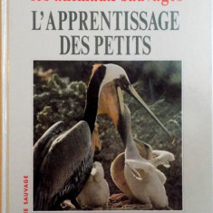 LES ANIMAUX SAUVAGES, L`APPRENTISSAGE DES PETITS de LAURE FLAVIGNY, CATHERINE NICOLLE, 1993