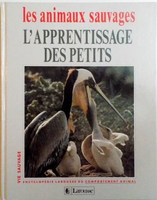 LES ANIMAUX SAUVAGES, L`APPRENTISSAGE DES PETITS de LAURE FLAVIGNY, CATHERINE NICOLLE, 1993 foto