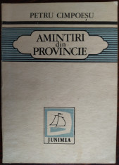 PETRU CIMPOESU: AMINTIRI DIN PROVINCIE (VOLUM DE DEBUT 1983)[DEDICATIE/AUTOGRAF] foto