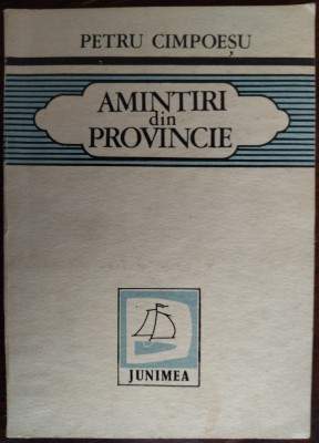 PETRU CIMPOESU: AMINTIRI DIN PROVINCIE (VOLUM DE DEBUT 1983)[DEDICATIE/AUTOGRAF] foto