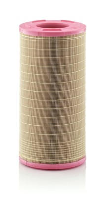 MANN-FILTER C 25 978 Filtru aer foto