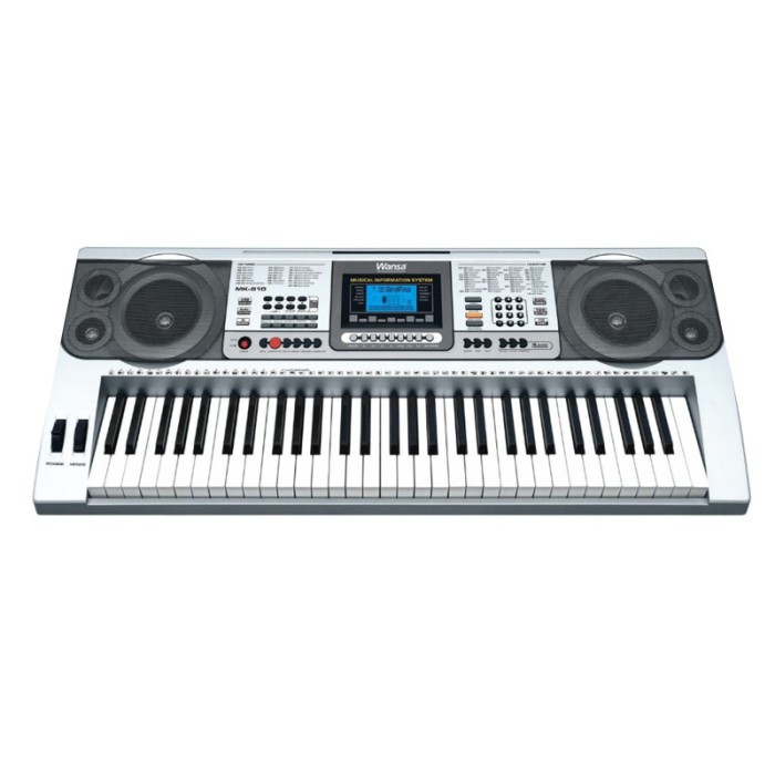 Orga electronica MK-810, MP3, 61 clape, 8 percutii 128 ritmuri, 10 melodii, afisaj LCD