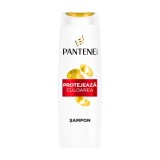 Sampon Pantene pentru par vopsit Pro-V Color Protect, 325 ml