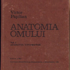 HST C6278 Anatomia omului Aparatul locomotor Papilian volumul I 1982