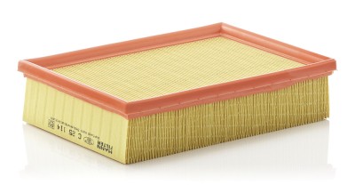 MANN-FILTER C 25 114 Filtru aer foto