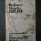RAINER MARIA RILKE - INSEMNARILE LUI MALTE LAURIDS BRIGGE
