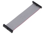 Cablu panglică SAMTEC IDC 95,25mm FFSD-17-D-03.75-01-N cu conectori IDC ambele părți
