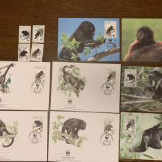 belize - maimute - serie 4 timbre MNH, 4 FDC, 4 maxime, fauna wwf