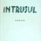 Marin Preda - Intrusul