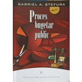 PROCES BUGETAR PUBLIC-GABRIEL A. STEFURA-252125