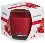 Lum&acirc;nare bolsius Jar True Scents 95/95 mm, rodie