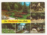 SG4 - Carte Postala - Germania, Stadtpark von Lahr , Circulata 1979, Fotografie