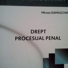 Mircea Damaschin - Drept procesual penal (2010)