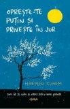 Opreste-te putin si priveste in jur. Cum sa fi calm si atent intr-o lume grabita/Haemin Sunim