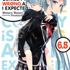 My Youth Romantic Comedy Is Wrong, as I Expected, Vol. 6.5 (Light Novel)