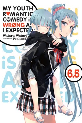 My Youth Romantic Comedy Is Wrong, as I Expected, Vol. 6.5 (Light Novel) foto