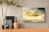 Tablou Canvas, "Lumină printre cețurile dimineții", Pădure, Ceață, Razele Soarelui, Mister, Lumină, Natură, Copaci, Peisaj, Seninătate, V&acirc;rfuri de Bra