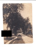 Foto Carei, interbelica, Alb-Negru, Romania 1900 - 1950, Spatiu