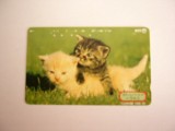 B11 82 - Carduri si cartele telefonice - Japonia - Pisici - piesa de colectie