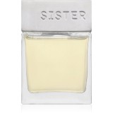 Sister's Aroma Lemon Cupcake difuzor de aroma 110 ml