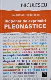 Dictionar de exprimari pleonastice - Ilie-Stefan Radulescu