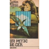 Un petic de cer